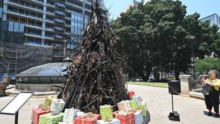 A burnt Christmas tree as a symbol of Devastating Bush fires in Australia A burnt Christmas tree as a symbol of Devastating Bush fires in Australia