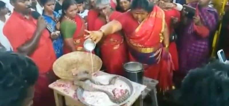 women was arrested for using snakes in her pooja