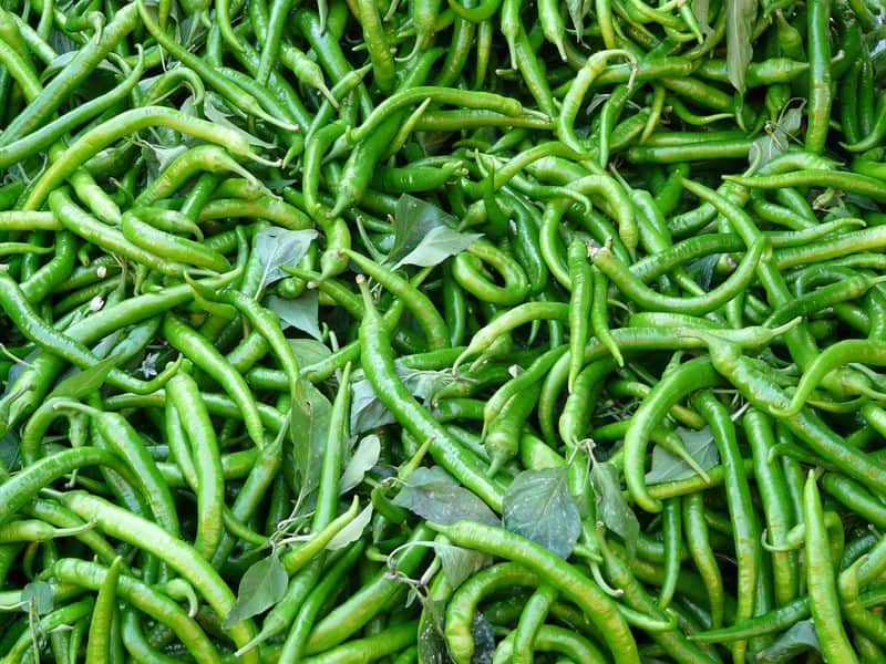 ಲಾಕ್‌ಡೌನ್‌ನಿಂದ ಬೆಲೆ ಕುಸಿತ: ಟ್ರ್ಯಾಕ್ಟರ್‌ ಹೊಡೆದು ಮೆಣಸಿನಕಾಯಿ ಬೆಳೆ ನಾಶ | Farmer Did Destroy the crop of chilli in Haveri due to LockDown