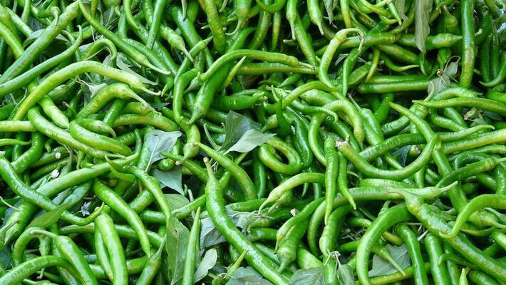 Farmer Did Destroy the crop of chilli in Haveri due to LockDown Farmer Did Destroy the crop of chilli in Haveri due to LockDown