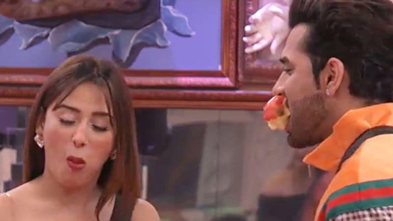 Bigg Boss 13 Mahira Sharma propose to Paras Chhabra know see actress mother Reaction KPY