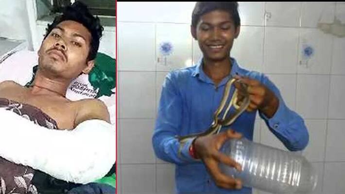 snake catcher Jigar Maske from Ahmedabad again defeated death kpa snake catcher Jigar Maske from Ahmedabad again defeated death kpa