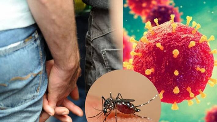 World shocked after first confirmed case of dengue transmission by physical activity kph World shocked after first confirmed case of dengue transmission by physical activity kph