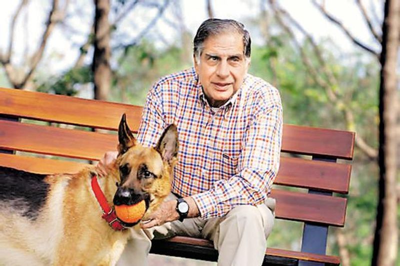 Priya Agarwal has strong bond with Ratan Tata For the love of dogs kpt