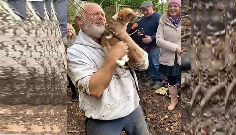 Frantic dog owner reunited with his Jack Russell after three days down a foxhole