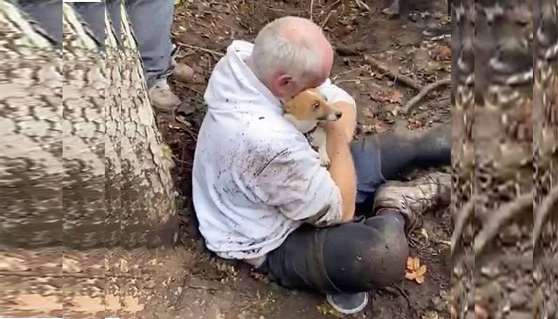 Frantic dog owner reunited with his Jack Russell after three days down a foxhole