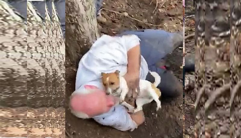 Frantic dog owner reunited with his Jack Russell after three days down a foxhole