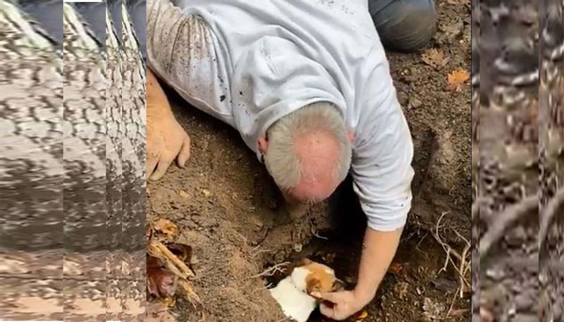 Frantic dog owner reunited with his Jack Russell after three days down a foxhole