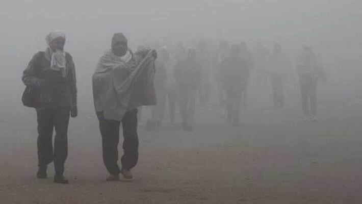 Cold wave continues in Haryana and Punjab temperature rises to 2.5 degree Celsius in Rajasthan kpm Cold wave continues in Haryana and Punjab temperature rises to 2.5 degree Celsius in Rajasthan kpm