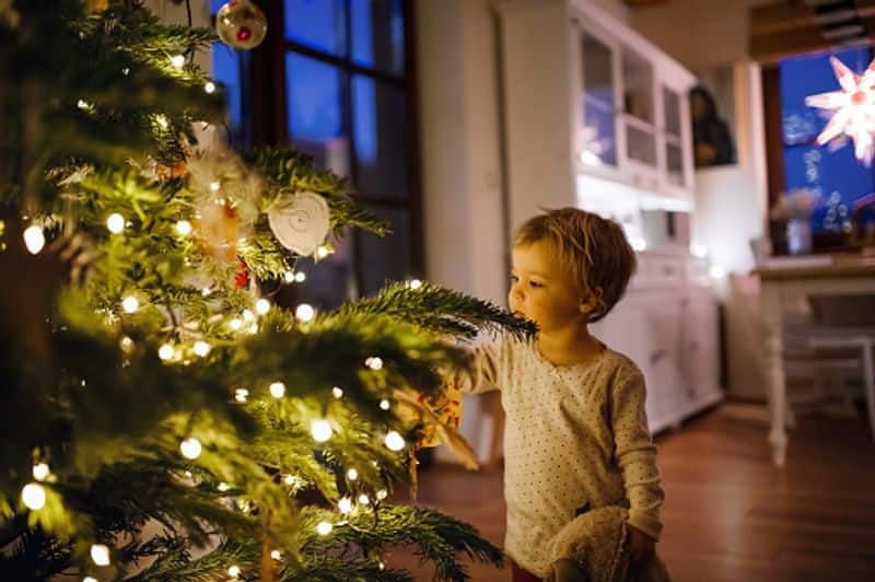 Toddlers are always curious and excited with the new friend at home - the Christmas tree