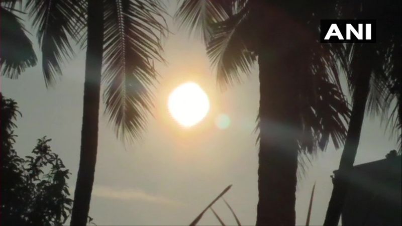 ঘরের নোংড়া দূর করে আমাদের ঘর পরিস্কার রাখে ফলে একে মহালক্ষ্মীর প্রতীক বলে বিশ্বাস করা হয়।