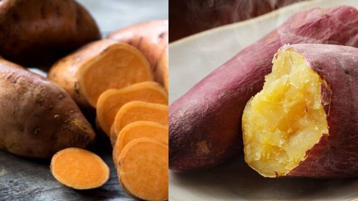 sweet potato that can help you lose weight sweet potato that can help you lose weight