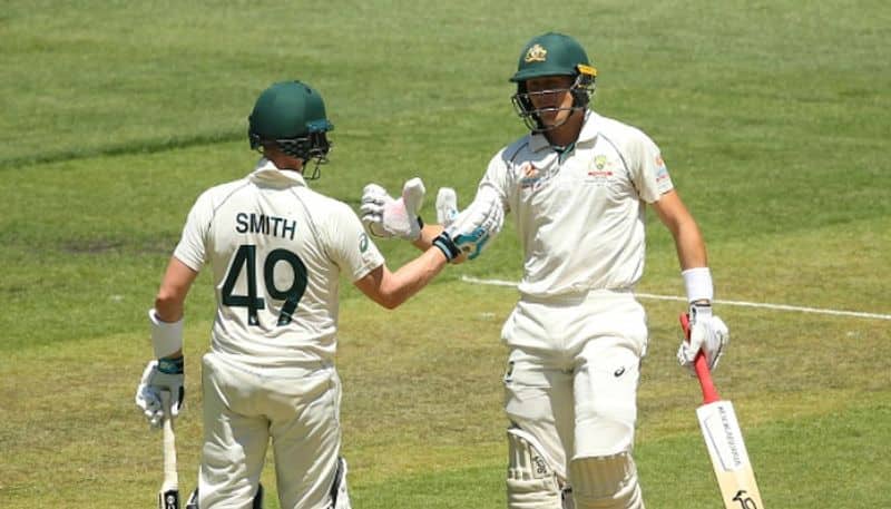 smith and labuschagne playing well in last test against new zealand