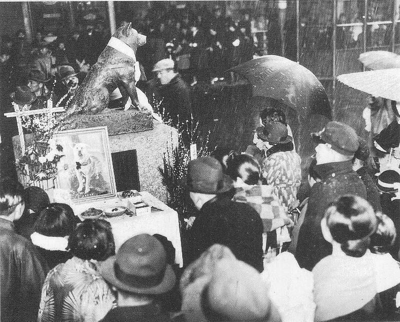 story of hachiko  loyal dog waited almost ten years for his master