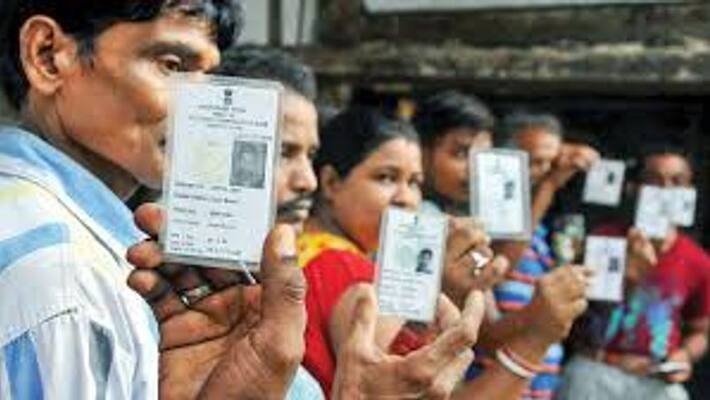 Electors Use one of the 11 Documents For Local Body Election Voting Electors Use one of the 11 Documents For Local Body Election Voting