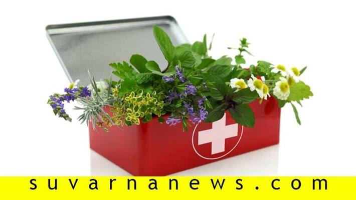 7 ways to Make An Herbal First Aid Kit For Common Ailments 7 ways to Make An Herbal First Aid Kit For Common Ailments