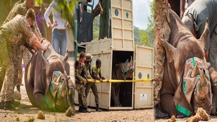 Counter-poaching troops help with historic Black Rhino move in Malawi Counter-poaching troops help with historic Black Rhino move in Malawi