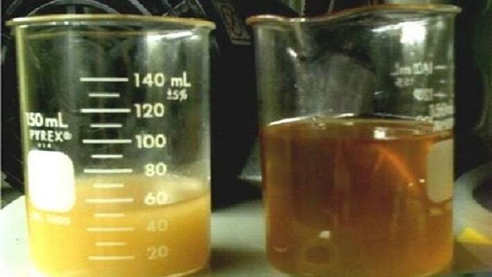 47 L kg used cooking oil collected from food biz operators since Aug 70 converted into bio diesel 47 L kg used cooking oil collected from food biz operators since Aug 70 converted into bio diesel