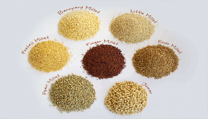 India to export millets grown in Himalayas to Denmark