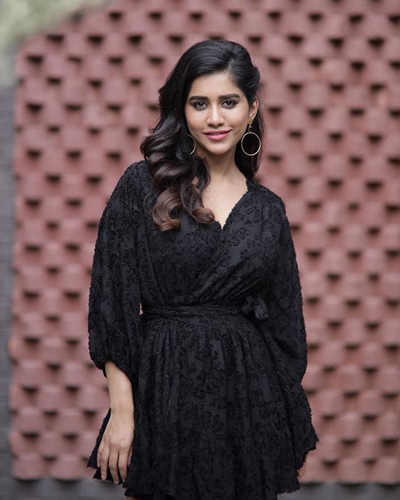 Actress Nabha natesh latest hot photos