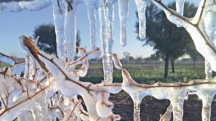weather news temperature record winter in rajasthan temperture reached 3 and 4 in mount abu kpr