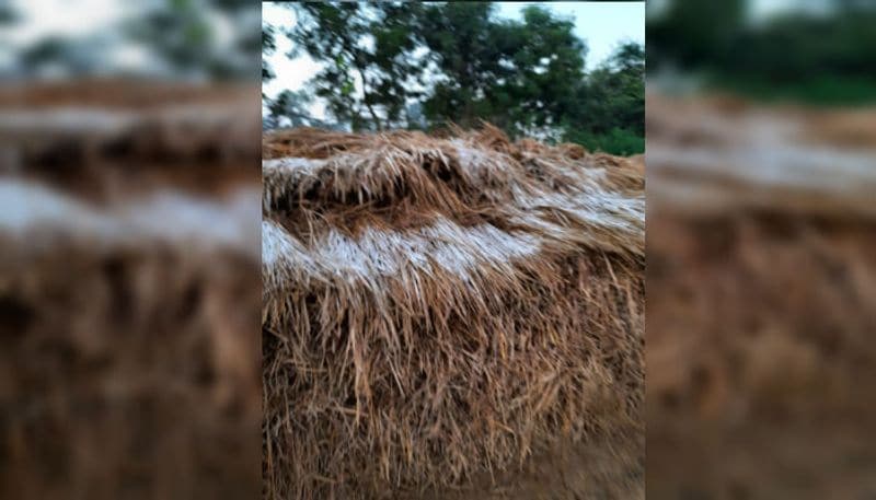 পুরুলিয়ায় নাকি তুষারপাত। এমনই দাবি করে বেশ কিছু ছবি ভাইরাল হলো সোশ্যাল মিডিয়ায়। পুরুলিয়ার বেগুনকোদরের গ্রামবাসীদের দাবি, শনিবার সকালে তাঁদের এলাকায় বরফ পড়েছে। ভাইরাল এই ছবিগুলির সত্যতা যাচাই করেনি এশিয়ানেট নিউজ বাংলা।
