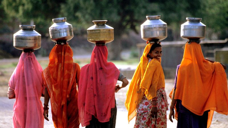 Life of women in bishnoi community who breastfeed animals kph