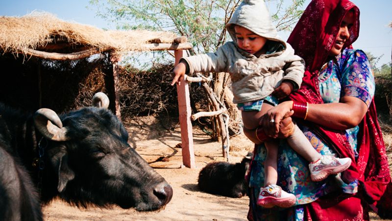 Life of women in bishnoi community who breastfeed animals kph