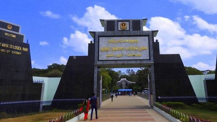 Vandaloor Park will be open tomorrow on Ayudha Puja Vandaloor Park will be open tomorrow on Ayudha Puja