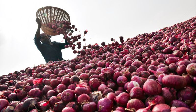 onion price slowly reduced now that price just 40 rupees - home makers happy