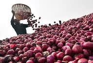 Salary of employees stopped after not able to sell onions