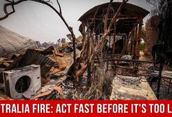 Australia is burning and we have to act fast