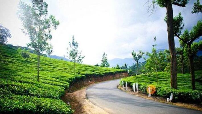 Vehicles and shops allowed to run with conditions in Munnar Vehicles and shops allowed to run with conditions in Munnar