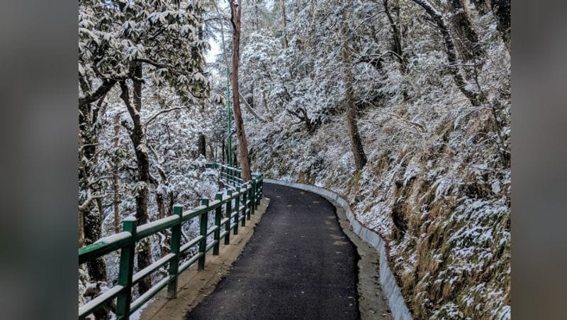 himachal about to open for tourist no covid test report needed any more BJC