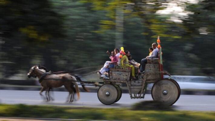 Weather update on 1 March in Kolkata and West Bengal Weather update on 1 March in Kolkata and West Bengal