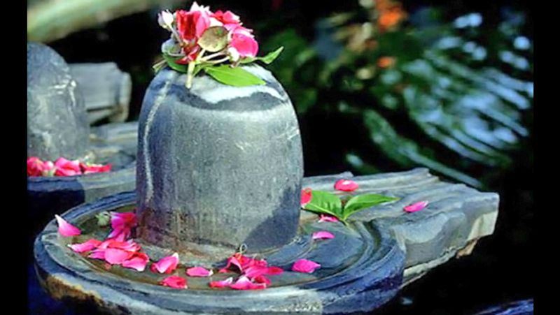 মিথুন রাশি স্ফটিকের শিবলিঙ্গকে লাল আবির, সিঁদুর, চন্দন, আতর দিয়ে পুজো করুন। নীলকন্ঠ ফুল নিবেদন করুন এবং মিষ্টি ভোগ অর্পণ করুন। দূর হবে সকল সমস্যা।