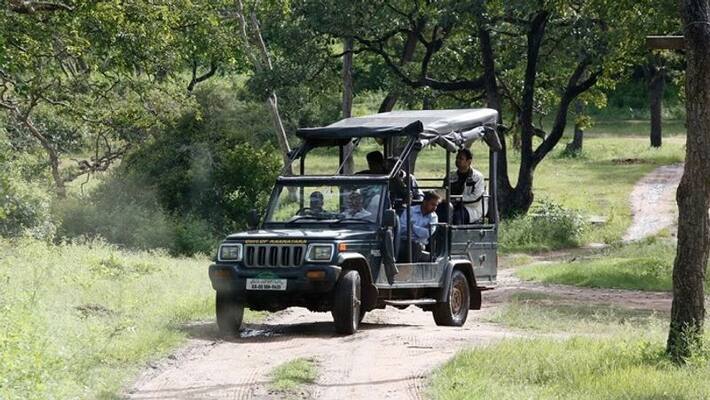 on new year day tourists at Bandipur Safari on new year day tourists at Bandipur Safari