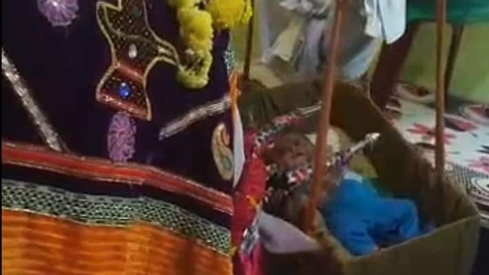 Ox makes crying baby sleep in Cradle at mandya Ox makes crying baby sleep in Cradle at mandya