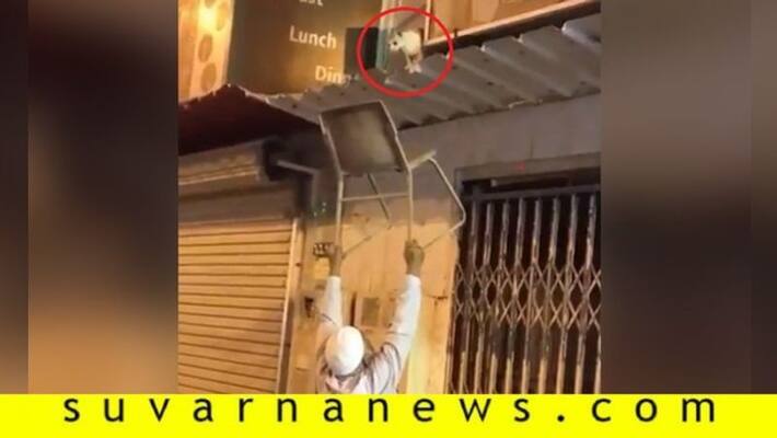 Elderly man earns praise after video of him rescuing stranded cat with chair goes viral Elderly man earns praise after video of him rescuing stranded cat with chair goes viral