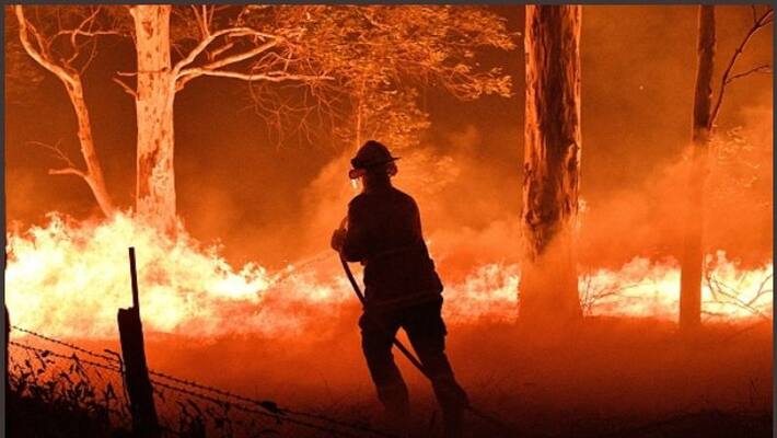 New South Wales declares a 7-day state of emergency as Australia's deadly bushfires rage New South Wales declares a 7-day state of emergency as Australia's deadly bushfires rage