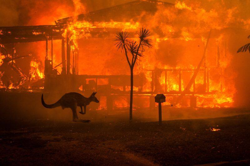Australian Prime Minister's visit to India postponed amid bushfire crisis