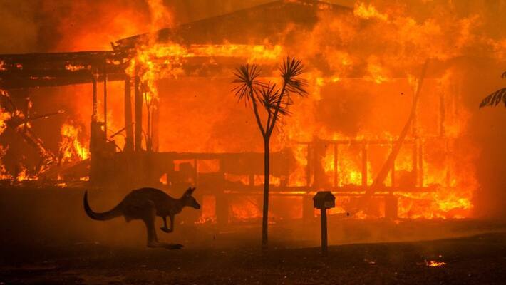 Australia bushfire crisis: As death toll climbs to 24, PM Scott Morrison sets up national recovery agency Australia bushfire crisis: As death toll climbs to 24, PM Scott Morrison sets up national recovery agency