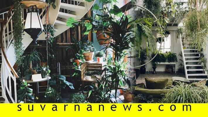 simple tips to make your home eco friendly in 2020 simple tips to make your home eco friendly in 2020