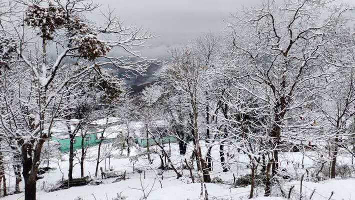 snowfall kills eight people is Jammu and Kashmir snowfall kills eight people is Jammu and Kashmir