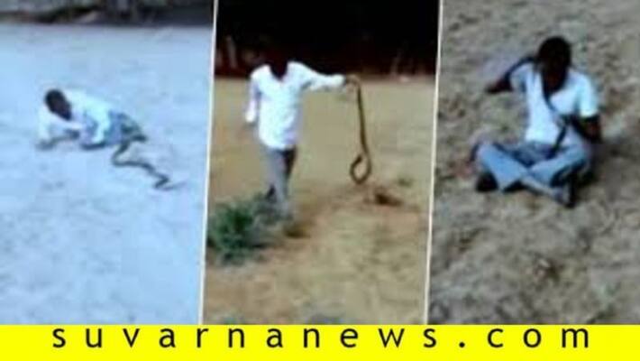 Drunk Rajasthan Man Wrestles With Snake Despite Getting Bitten Drunk Rajasthan Man Wrestles With Snake Despite Getting Bitten