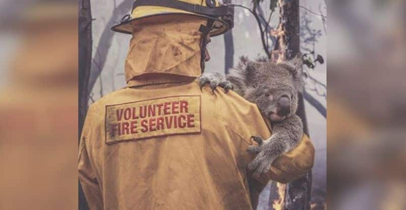 heart breaking images says what is the reality in Australian bushfire
