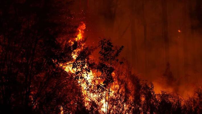 All you need to know about Australia wildfires All you need to know about Australia wildfires