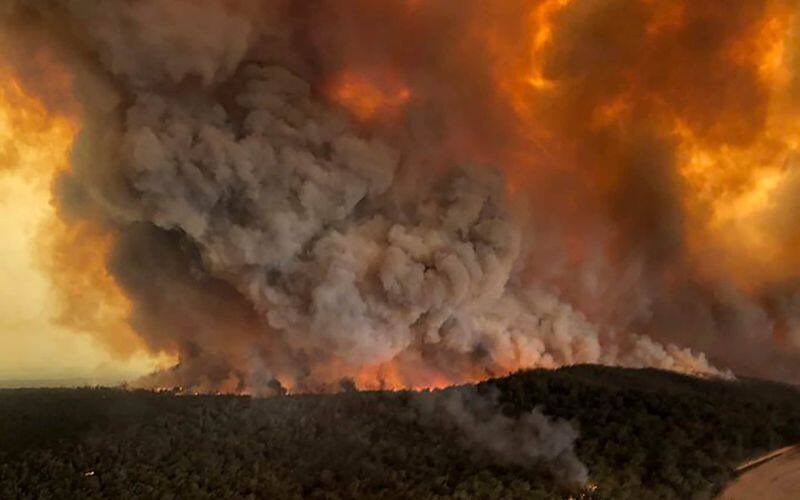 What is the root cause of Australias devastating bush fires?