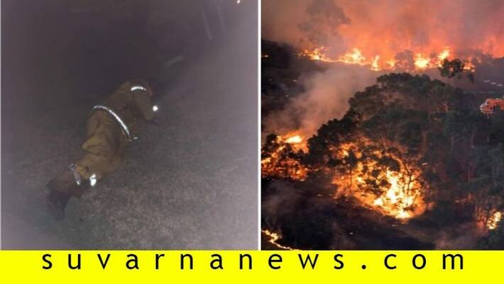 Daughter Shares Photo Of Firefighter Dad Sleeping On Lawn in between Fighting Australian Bushfires Daughter Shares Photo Of Firefighter Dad Sleeping On Lawn in between Fighting Australian Bushfires