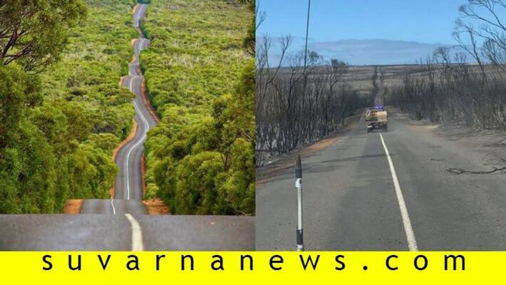 Incredible images show insane damage caused by Bushfire In Australia Incredible images show insane damage caused by Bushfire In Australia